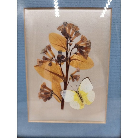 Vintage Pressed Flower Pictures By Elsie Kraft for Belart/Nature Incentives USA - Picture 2 of 11